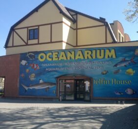 Oceanarium