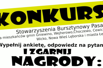 Bursztynowy Pasaż ogłasza Konkurs „Lokalna Strategia Rozwoju Szansą dla nas”!